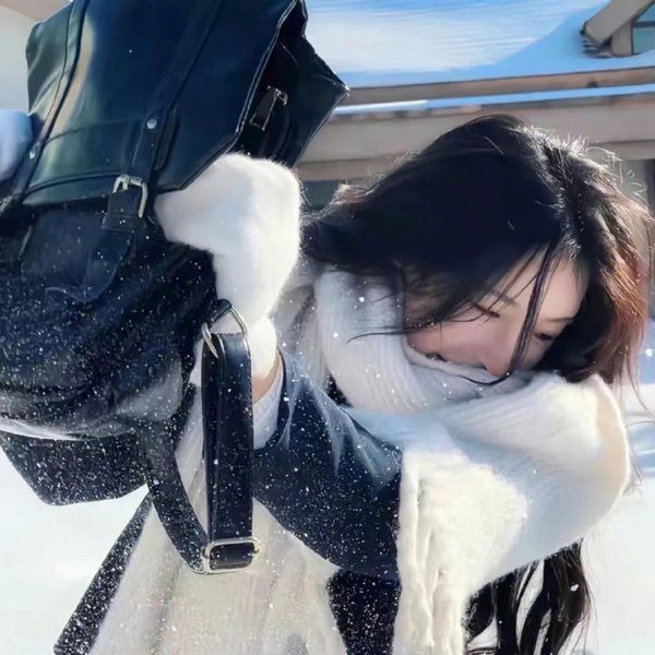 萌犬流浪记